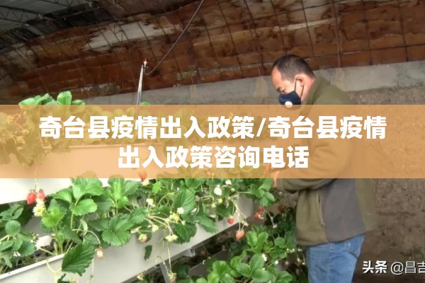 奇台县疫情出入政策/奇台县疫情出入政策咨询电话
