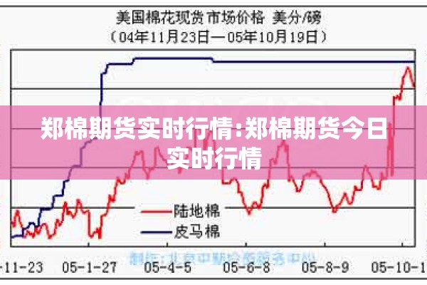 郑棉期货实时行情:郑棉期货今日实时行情