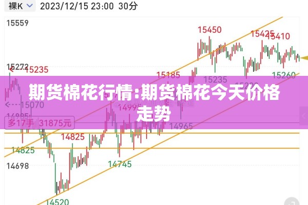 期货棉花行情:期货棉花今天价格走势
