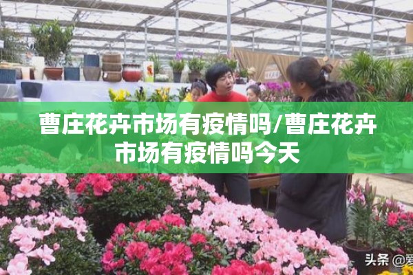 【菜籽油期货行情,加拿大菜籽油期货行情】
