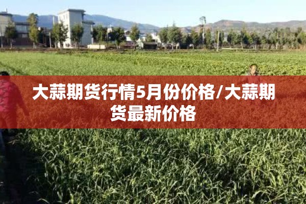 大蒜期货行情5月份价格/大蒜期货最新价格