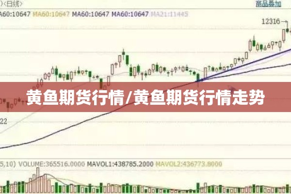 黄鱼期货行情/黄鱼期货行情走势
