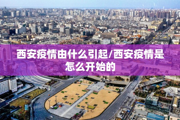 【中板期货行情/中板期货行情最新消息】