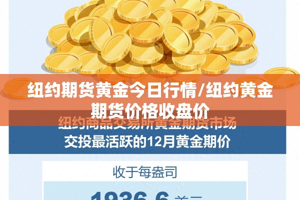 石家庄外国语学院疫情:石家庄外语学院在哪儿