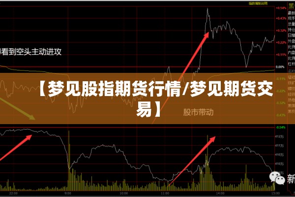 戴锦华疫情/戴锦华个人简介