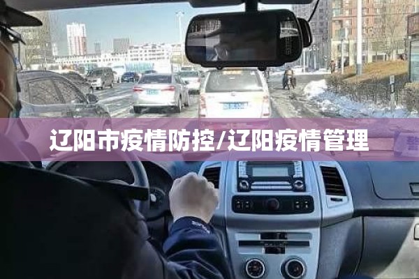 辽阳市疫情防控/辽阳疫情管理