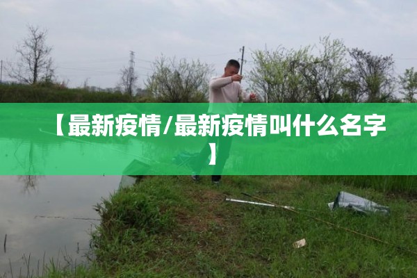 化工煤期货行情（化工煤期货行情最新消息）