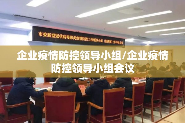 企业疫情防控领导小组/企业疫情防控领导小组会议