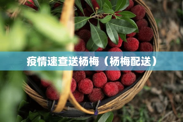 疫情速查送杨梅（杨梅配送）