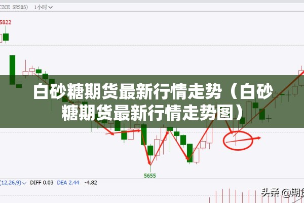 白砂糖期货最新行情走势（白砂糖期货最新行情走势图）