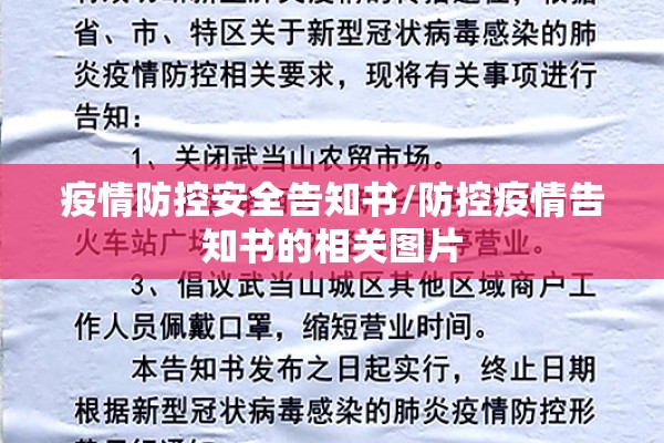 疫情防控安全告知书/防控疫情告知书的相关图片