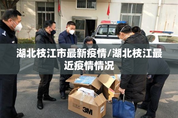五一张家界疫情/张家界役情