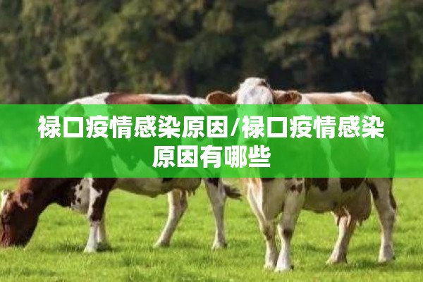 禄口疫情感染原因/禄口疫情感染原因有哪些