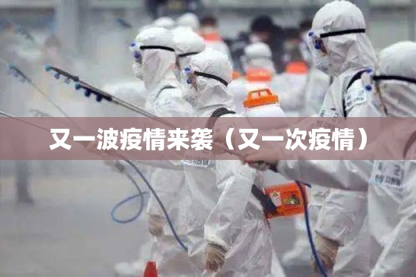 又一波疫情来袭(又一次疫情) 又一波疫情来袭(又一次疫情)