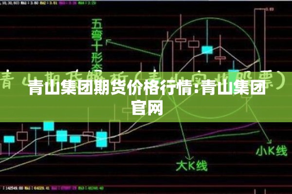 青山集团期货价格行情:青山集团官网