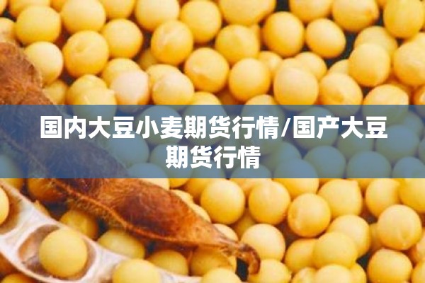 【哈尔滨最新疫情,哈尔滨最新疫情最新数据】