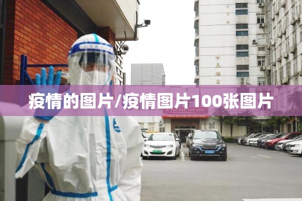 【远方期货行情软件下载,远大期货平台】