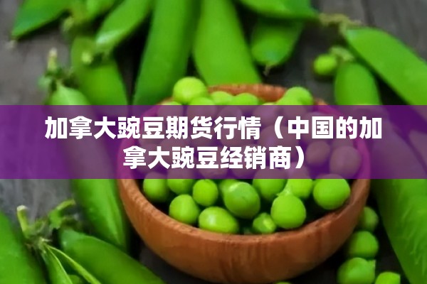 加拿大豌豆期货行情（中国的加拿大豌豆经销商）