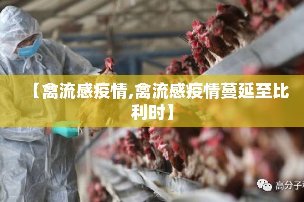 【禽流感疫情,禽流感疫情蔓延至比利时】 【禽流感疫情,禽流感疫情蔓延至比利时】