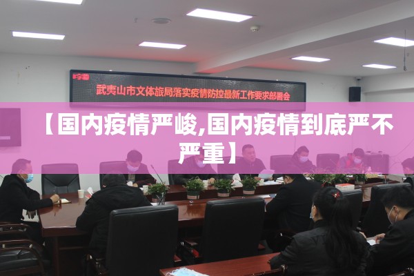 【国内疫情严峻,国内疫情到底严不严重】