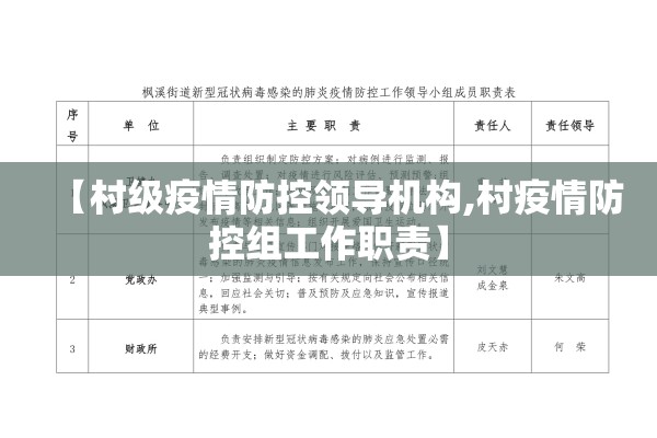 【村级疫情防控领导机构,村疫情防控组工作职责】