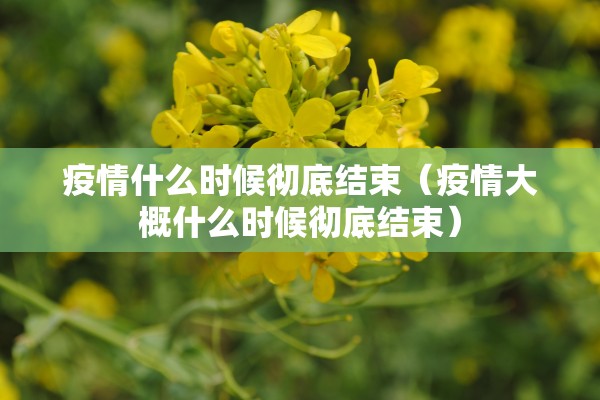 疫情什么时候彻底结束（疫情大概什么时候彻底结束）