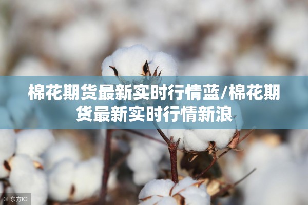 棉花期货最新实时行情蓝/棉花期货最新实时行情新浪 棉花期货最新实时行情蓝/棉花期货最新实时行情新浪