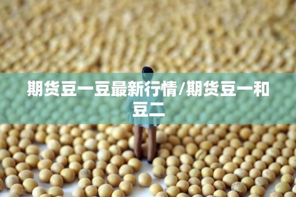 期货豆一豆最新行情/期货豆一和豆二 期货豆一豆最新行情/期货豆一和豆二