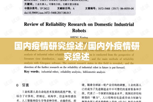 国内疫情研究综述/国内外疫情研究综述