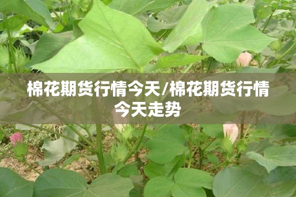 【幼儿园新冠疫情防控ppt/幼儿园疫情防控ppt内容】