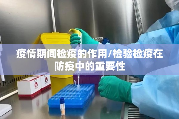 【疫情感悟作文600字,疫情感悟600800字】