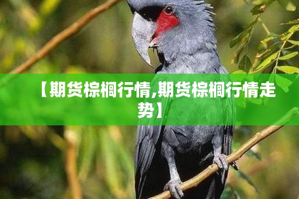 杭州疫情隔离儿童:杭州学校隔离政策
