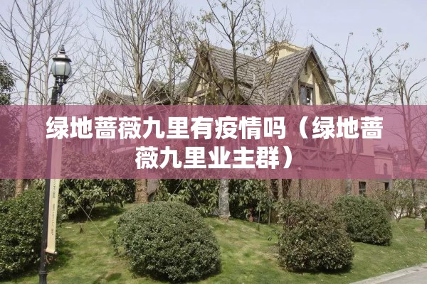 关于疫情的新闻解说:关于疫情的新闻导语