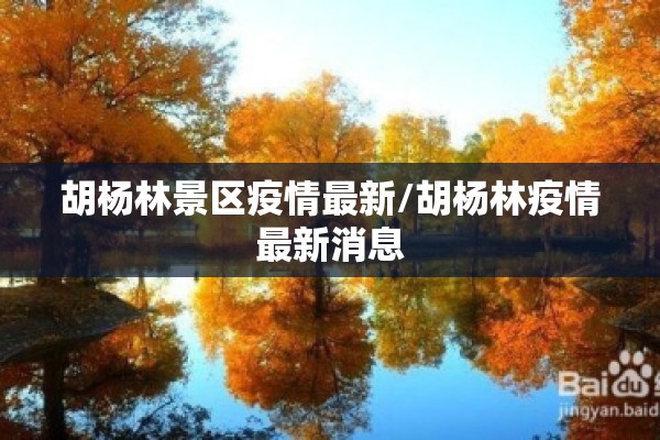 中银期货显示五档行情（期货五档行情应用技巧）