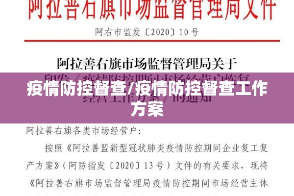 09年国际期货行情预测/期货2009合约是什么时候交割
