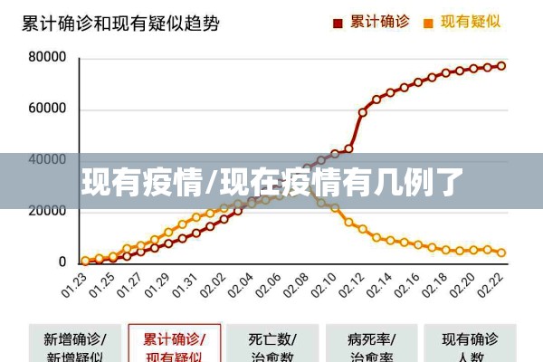 现有疫情/现在疫情有几例了
