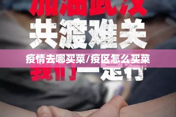 疫情去哪买菜/疫区怎么买菜