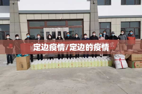 定边疫情/定边的疫情