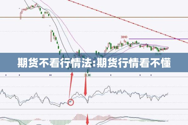 目前国内外疫情的情况:目前国内外疫情的情况有哪些