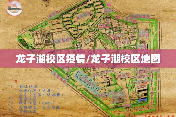 园区疫情（园区疫情指挥部电话）