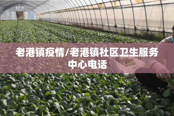 老港镇疫情/老港镇社区卫生服务中心电话 老港镇疫情/老港镇社区卫生服务中心电话