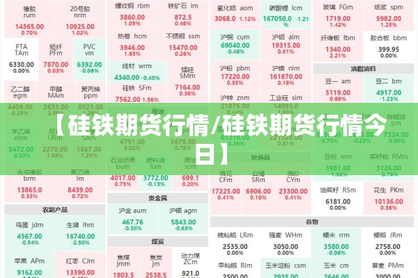 疫情下的大国担当:疫情下的大国担当与个人担当