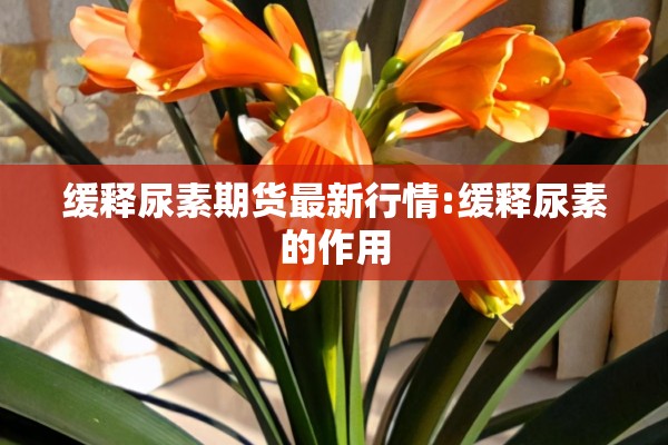 【今日沪银期货行情/今日沪银期货行情分析】