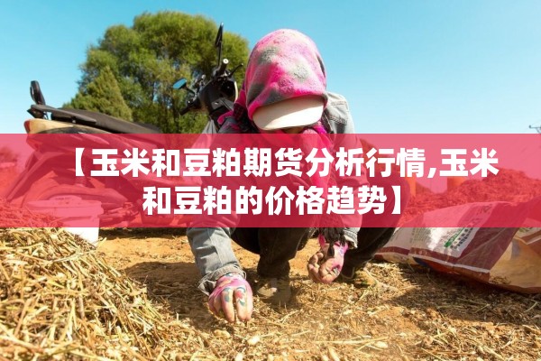 【玉米和豆粕期货分析行情,玉米和豆粕的价格趋势】