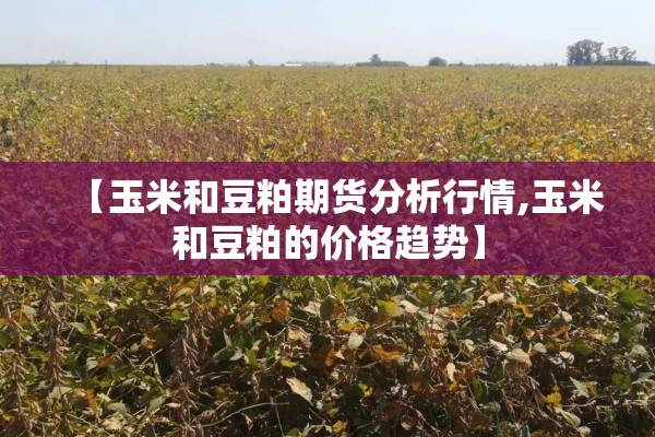 纽铜期货行情实时行情/纽银期货最新价格