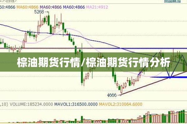 棕油期货行情/棕油期货行情分析