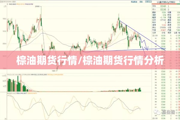 棕油期货行情/棕油期货行情分析