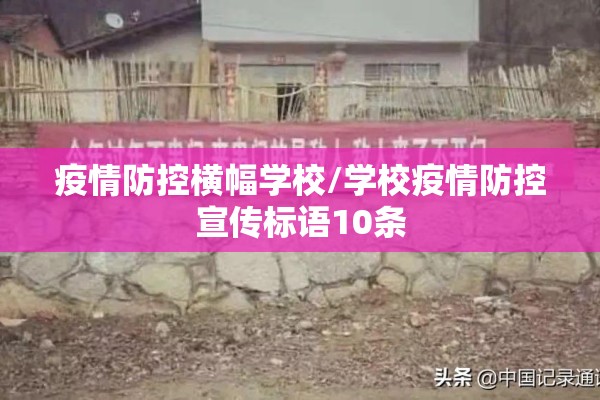 【槟榔行情期货/槟榔价格走势图】