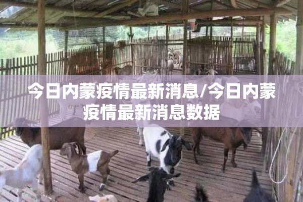 今日内蒙疫情最新消息/今日内蒙疫情最新消息数据 今日内蒙疫情最新消息/今日内蒙疫情最新消息数据