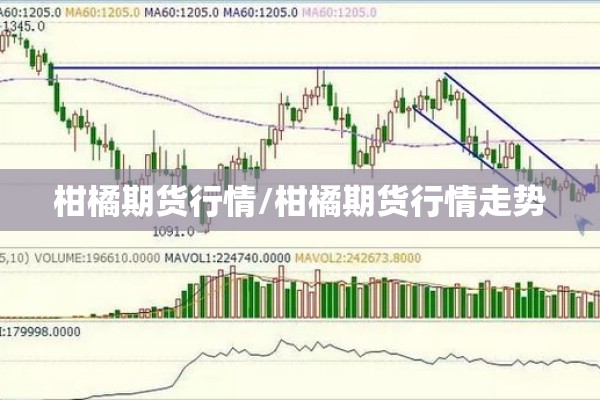 柑橘期货行情/柑橘期货行情走势